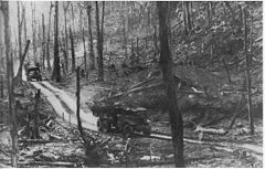 Cầu truyền hình Âm vang Trường Sơn: Sự tri ân lịch sử